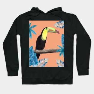 Toucan with tropical leaves and coral background Hoodie